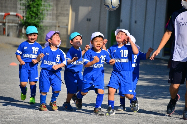 サッカー スポーツクラブ さしおうぎ幼稚園